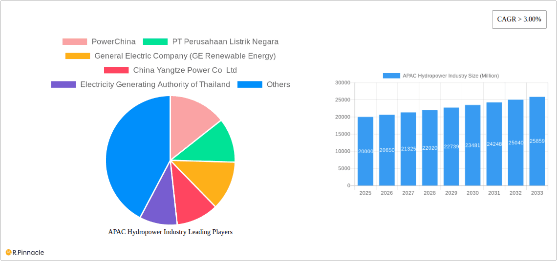 APAC Hydropower Industry Research Report - Market Overview and Key Insights