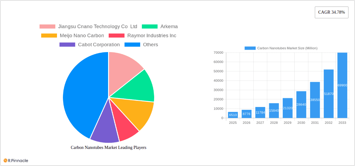 Carbon Nanotubes Market Research Report - Market Overview and Key Insights