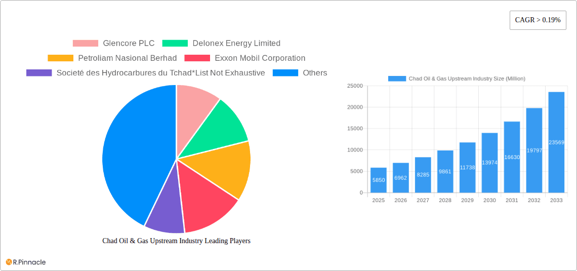 Chad Oil & Gas Upstream Industry Research Report - Market Overview and Key Insights
