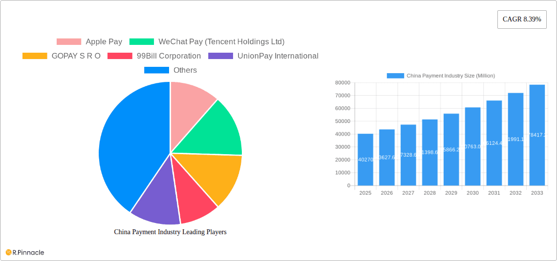 China Payment Industry Research Report - Market Overview and Key Insights