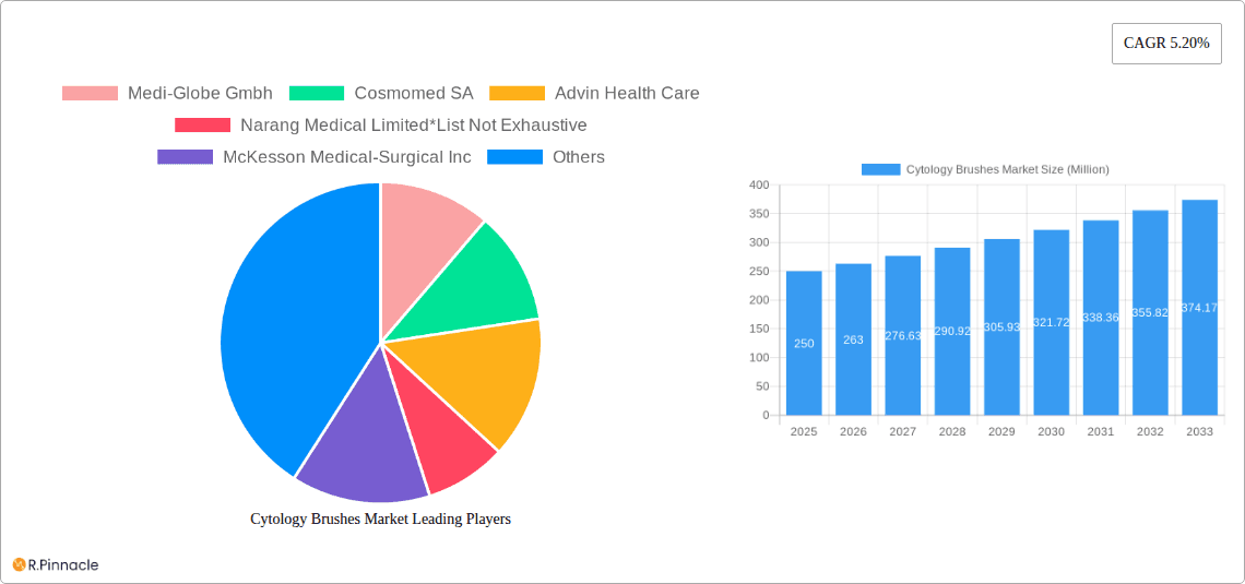 Cytology Brushes Market Research Report - Market Overview and Key Insights