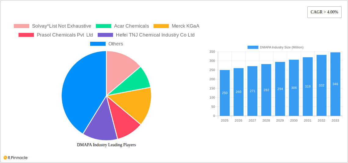 DMAPA Industry Research Report - Market Overview and Key Insights