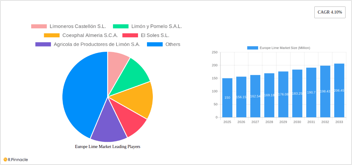 Europe Lime Market Research Report - Market Overview and Key Insights
