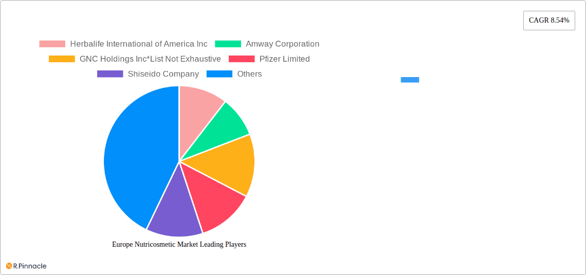 Europe Nutricosmetic Market Research Report - Market Overview and Key Insights