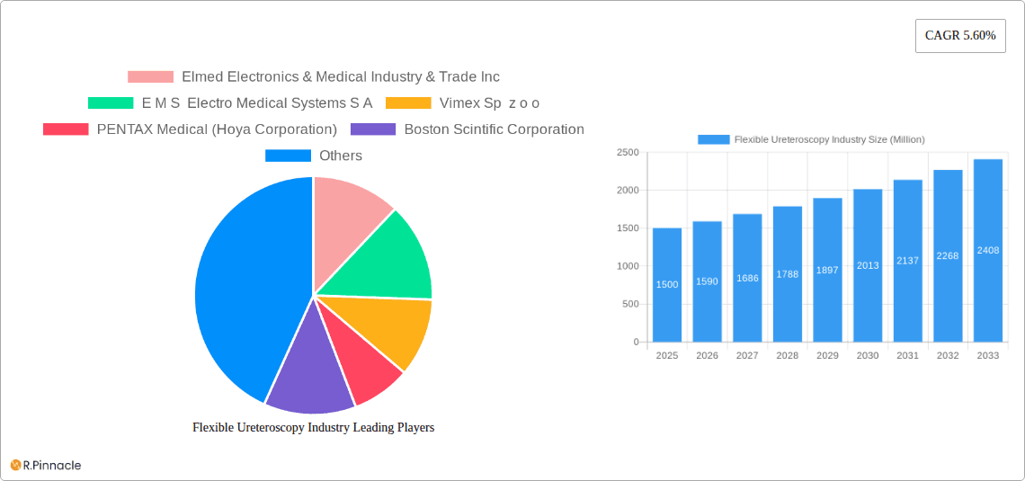 Flexible Ureteroscopy Industry Research Report - Market Overview and Key Insights