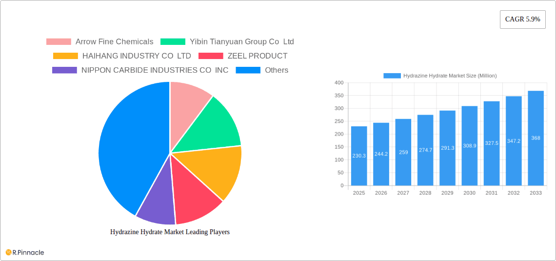 Hydrazine Hydrate Market Research Report - Market Overview and Key Insights