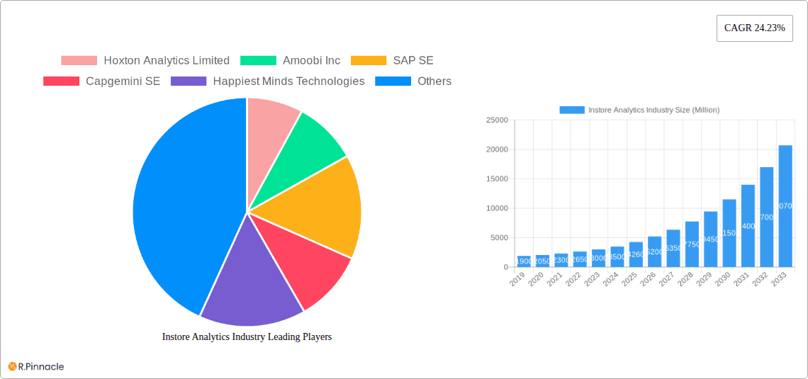 Instore Analytics Industry Research Report - Market Overview and Key Insights