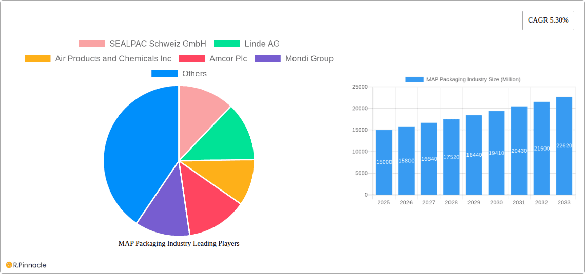 MAP Packaging Industry Research Report - Market Overview and Key Insights