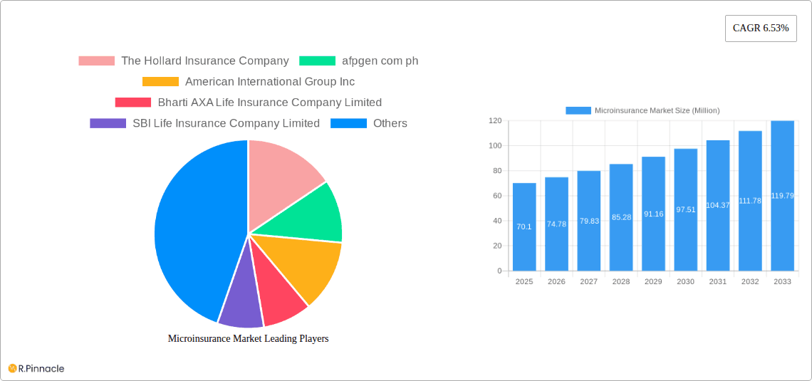 Microinsurance Market Research Report - Market Overview and Key Insights