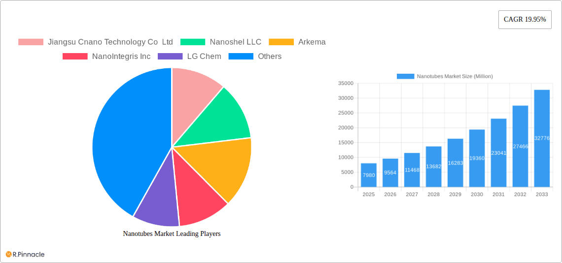 Nanotubes Market Research Report - Market Overview and Key Insights