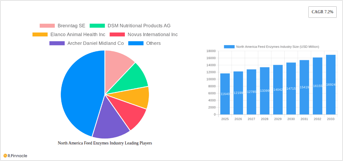 North America Feed Enzymes Industry Research Report - Market Overview and Key Insights