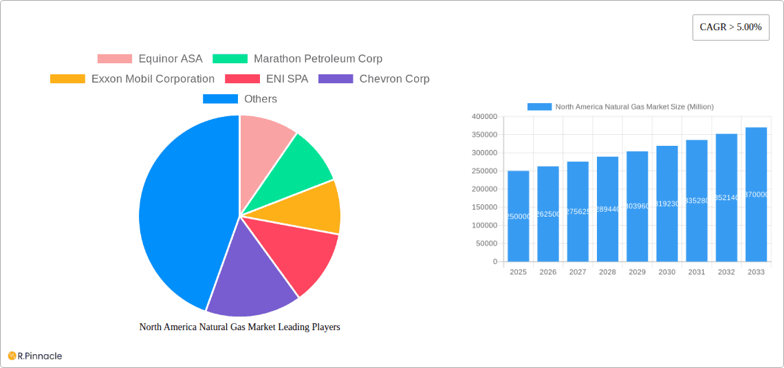 North America Natural Gas Market Research Report - Market Overview and Key Insights