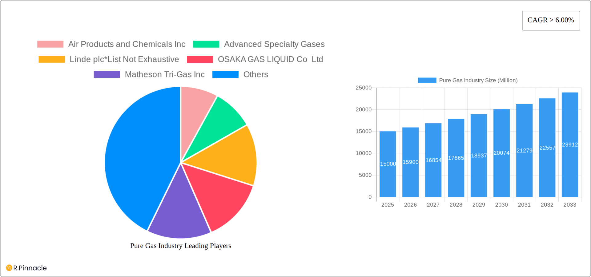 Pure Gas Industry Research Report - Market Overview and Key Insights