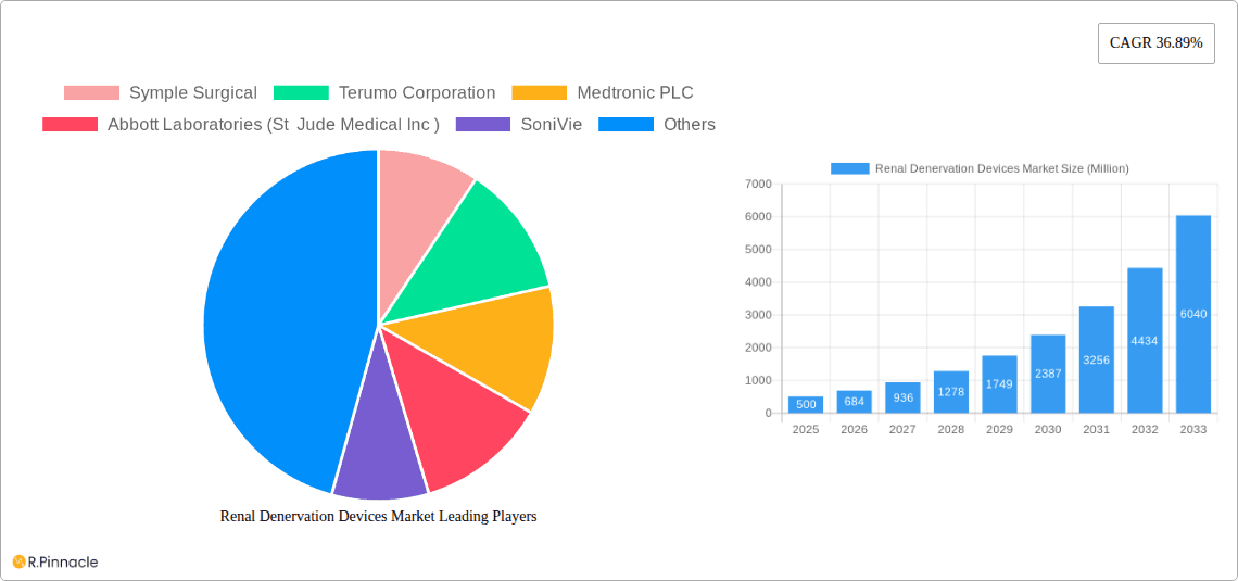 Renal Denervation Devices Market Research Report - Market Overview and Key Insights