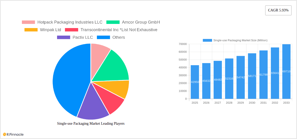 Single-use Packaging Market Research Report - Market Overview and Key Insights