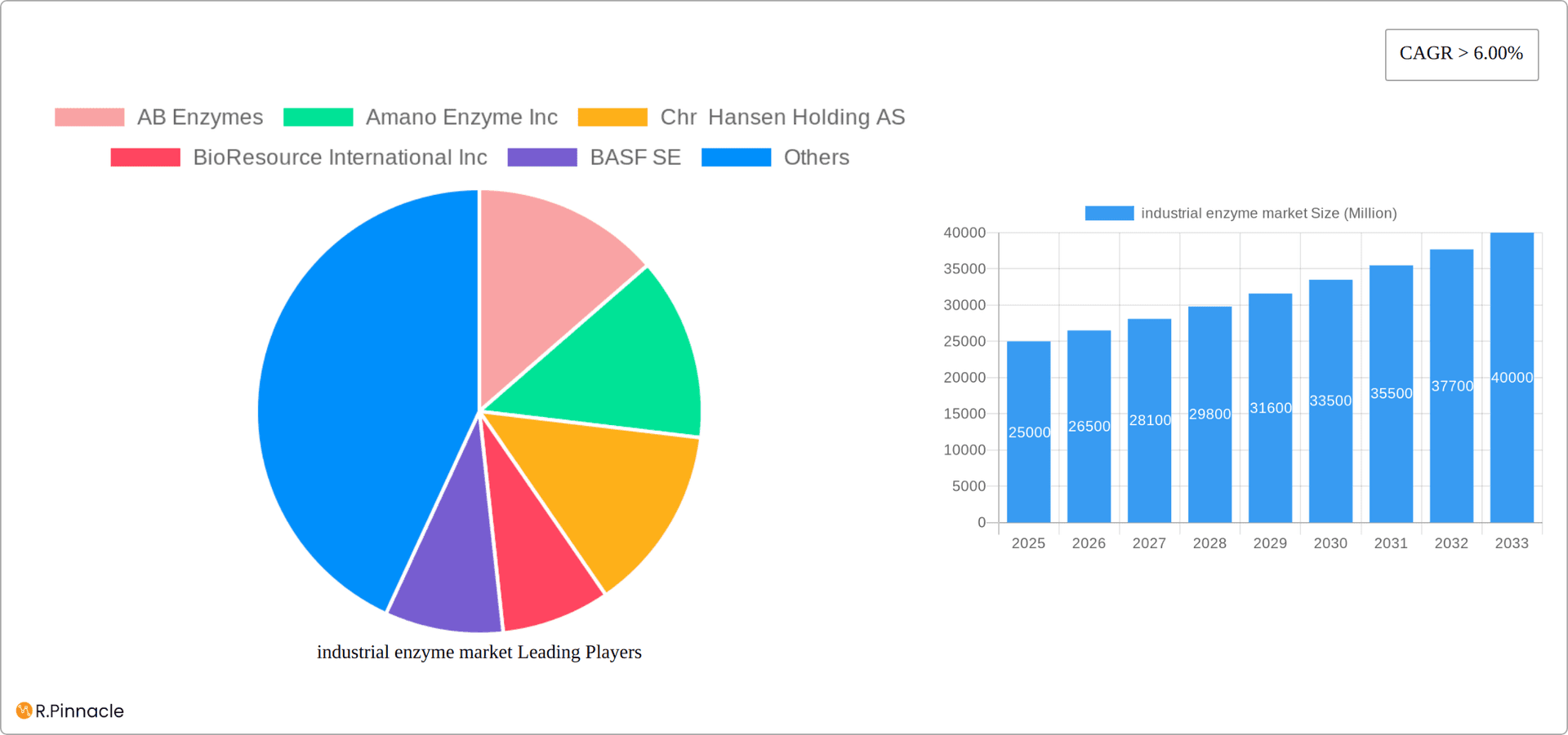 industrial enzyme market Research Report - Market Overview and Key Insights