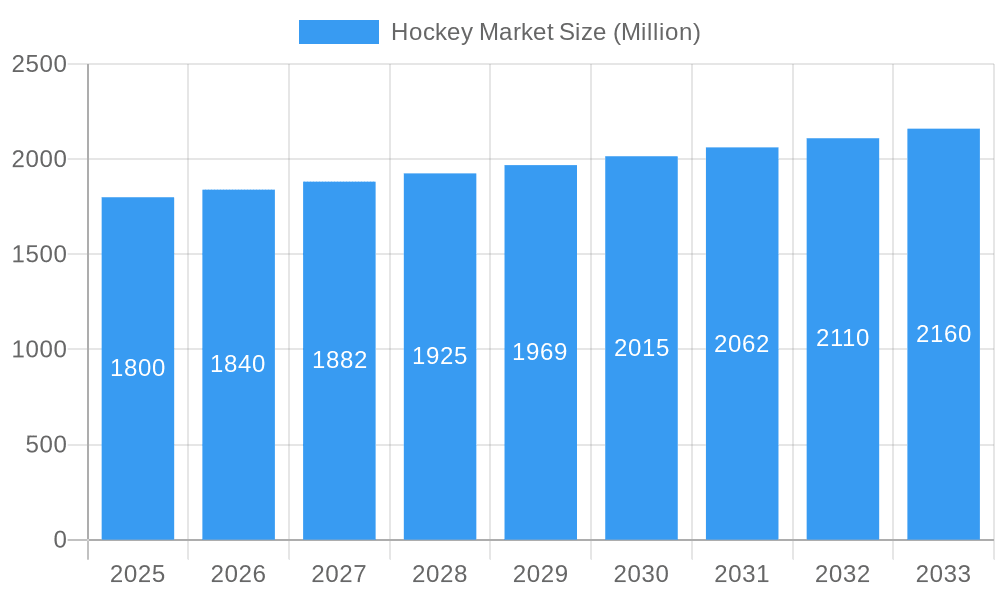 Hockey Market Market Size and Forecast (2024-2030)