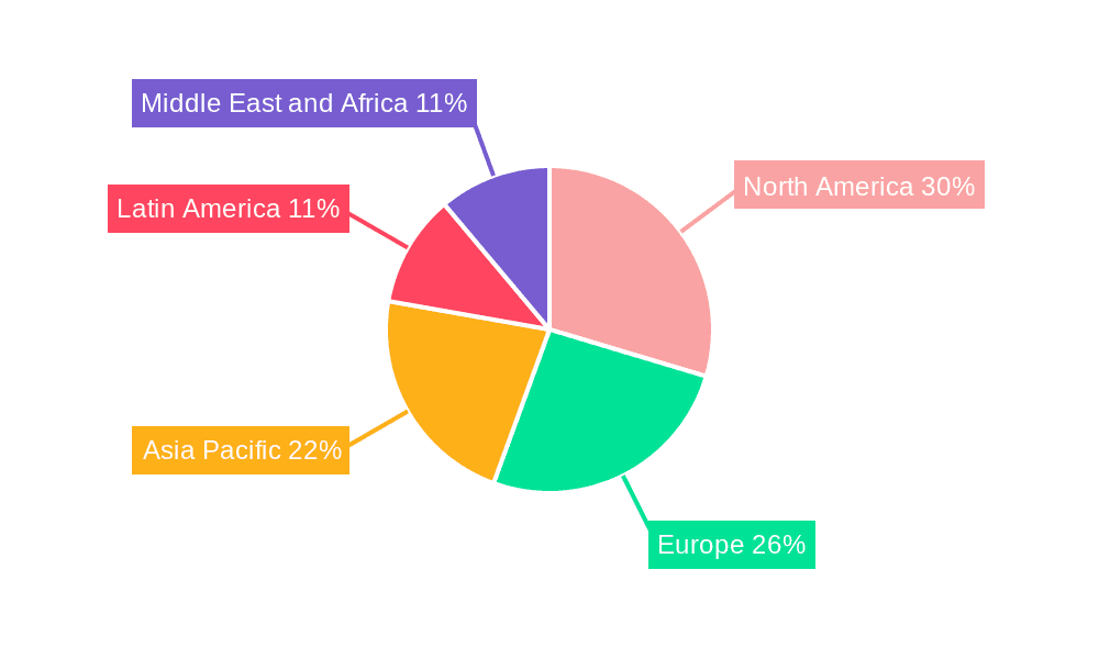 Aircraft Paint Market Market Share by Region - Global Geographic Distribution
