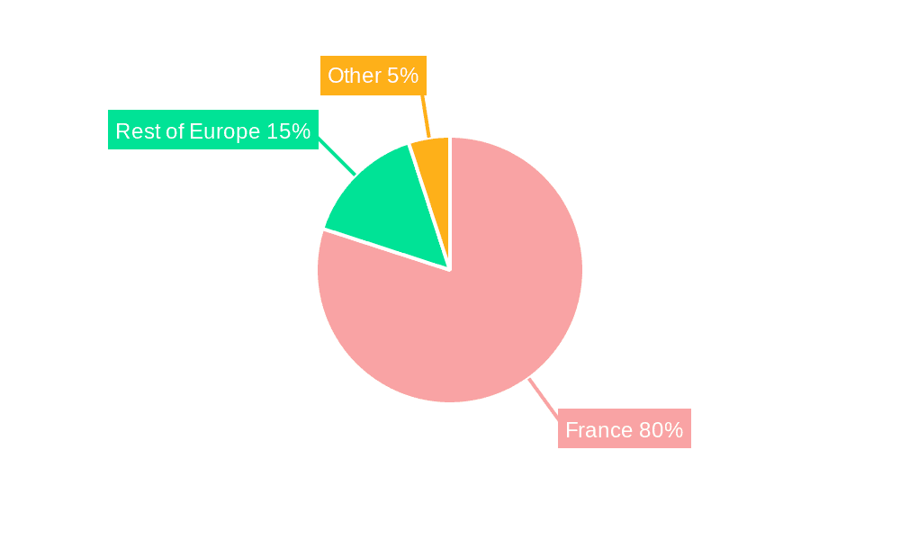 France Fuel Cell Industry Market Share by Region - Global Geographic Distribution