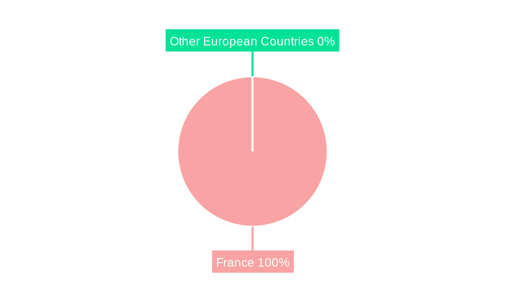 France Silica Sand Market  Market Share by Region - Global Geographic Distribution