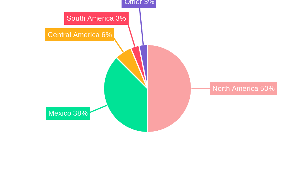 Mexico Caustic Soda Industry Market Share by Region - Global Geographic Distribution