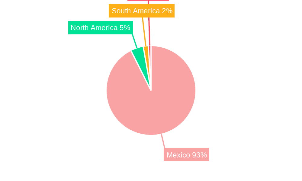 Mexico Flat Glass Market Market Share by Region - Global Geographic Distribution