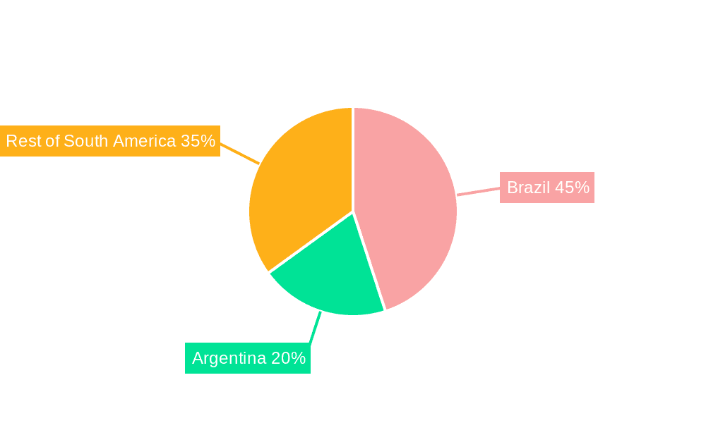 South America Energy Drinks Market Market Share by Region - Global Geographic Distribution