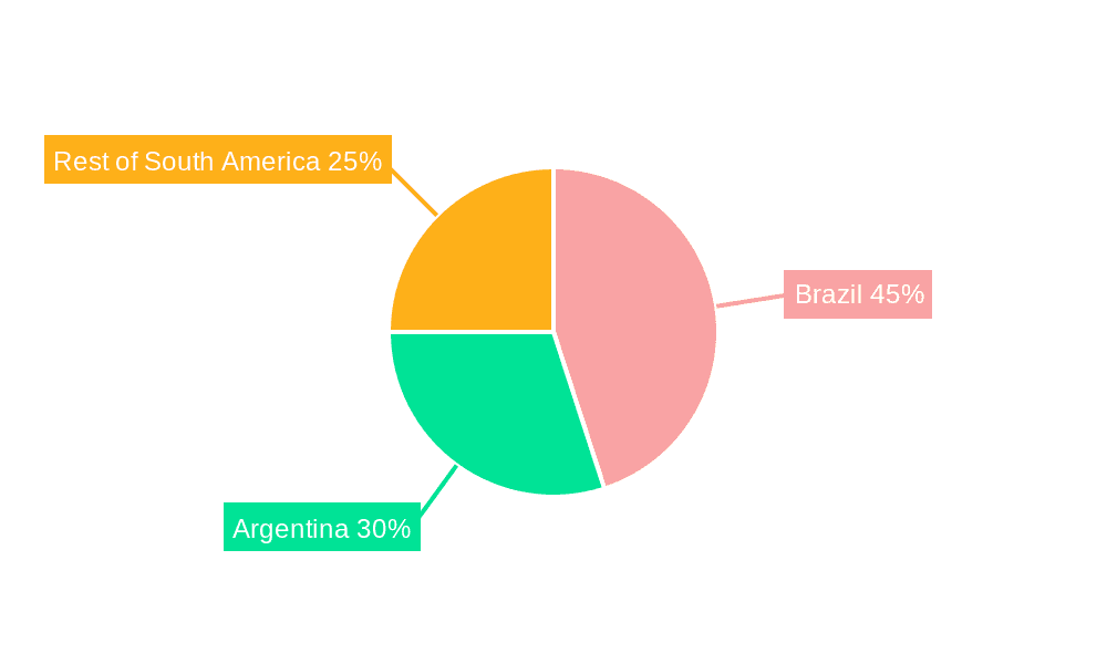 South America Feed Amino Acids Market Market Share by Region - Global Geographic Distribution