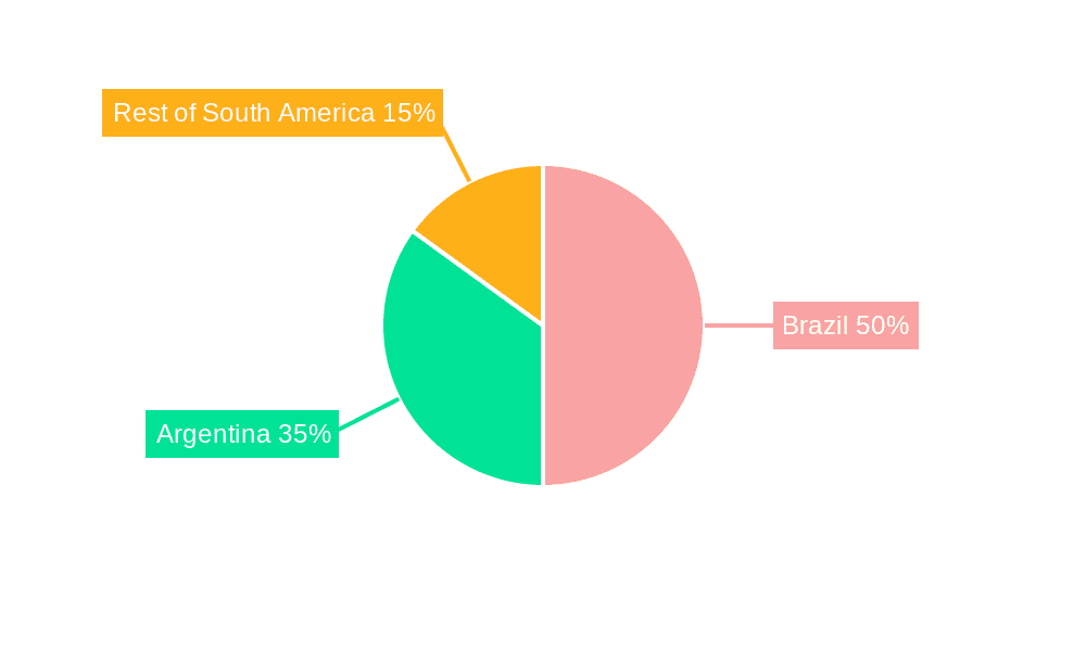 South America Seed Market Market Share by Region - Global Geographic Distribution