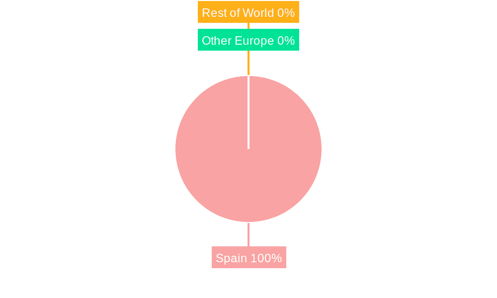 Spain Luxury Brand Market Market Share by Region - Global Geographic Distribution