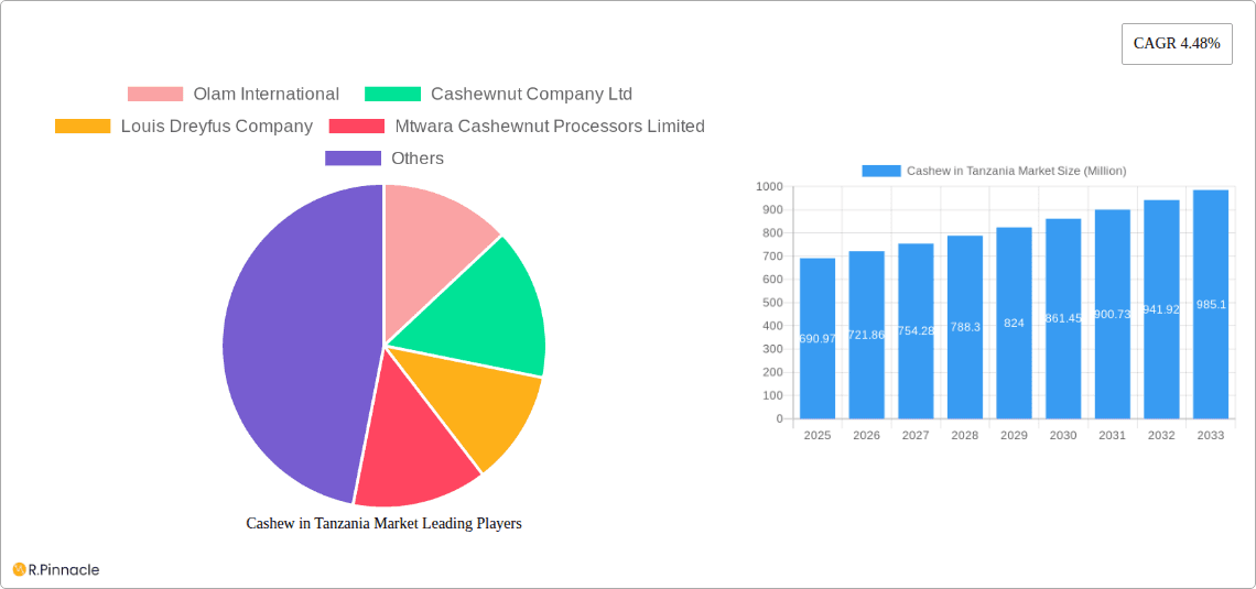 Cashew in Tanzania Market Research Report - Market Overview and Key Insights