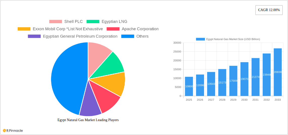 Egypt Natural Gas Market Research Report - Market Overview and Key Insights