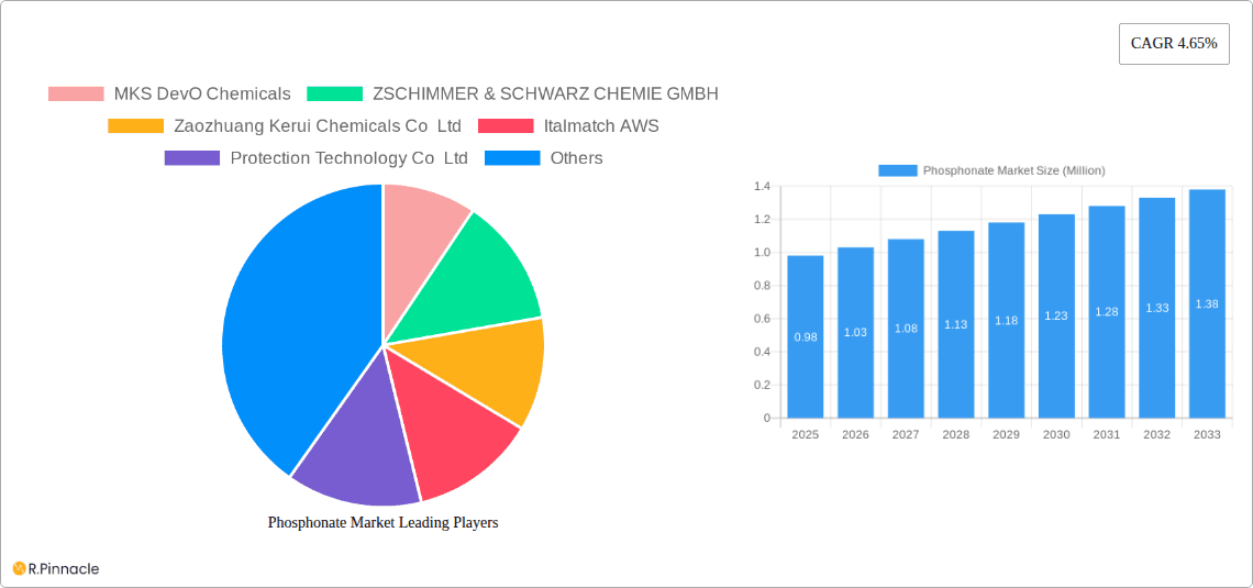 Phosphonate Market Research Report - Market Overview and Key Insights