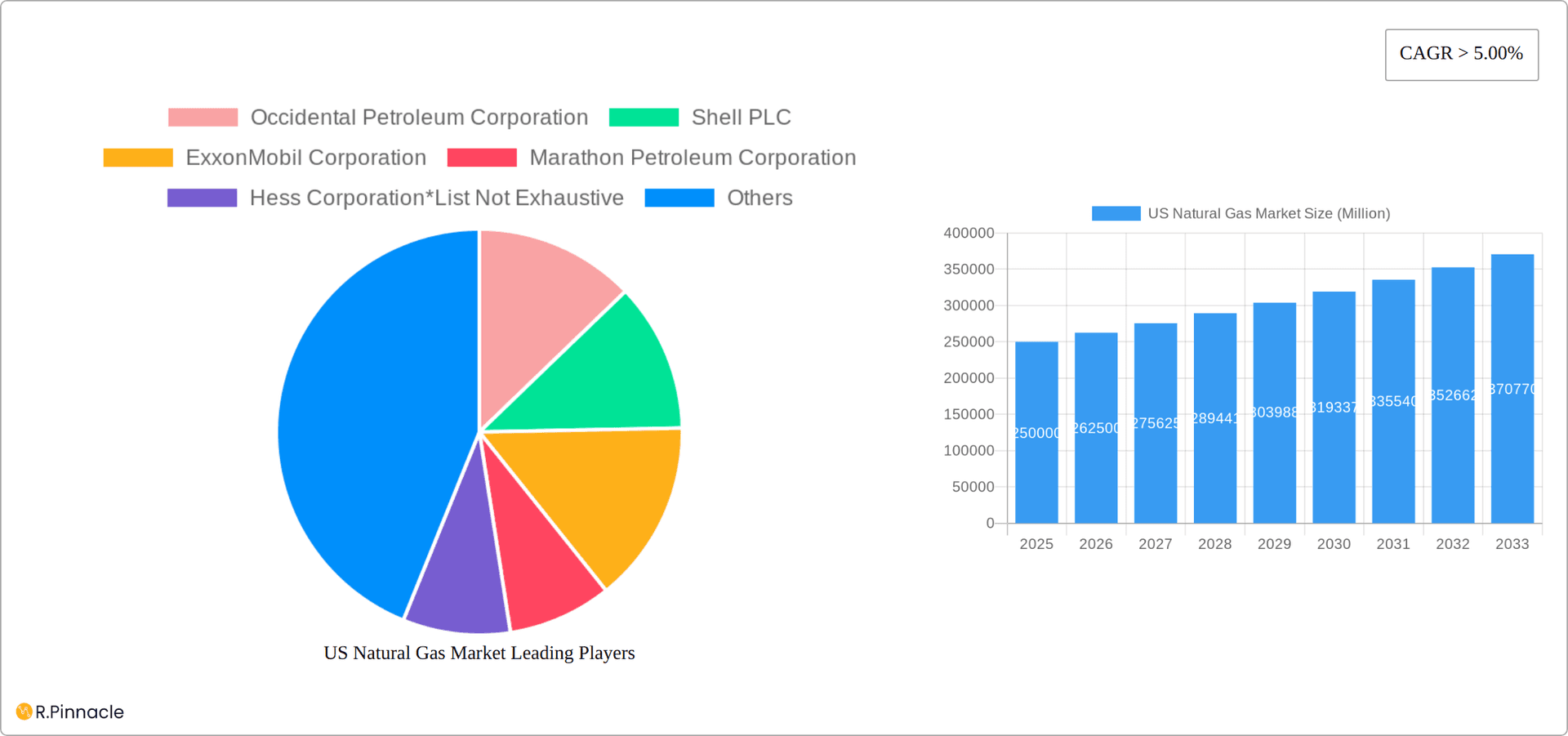 US Natural Gas Market Research Report - Market Overview and Key Insights
