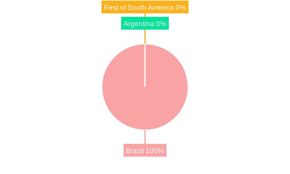 Brazil Jewelry Market Market Share by Region - Global Geographic Distribution