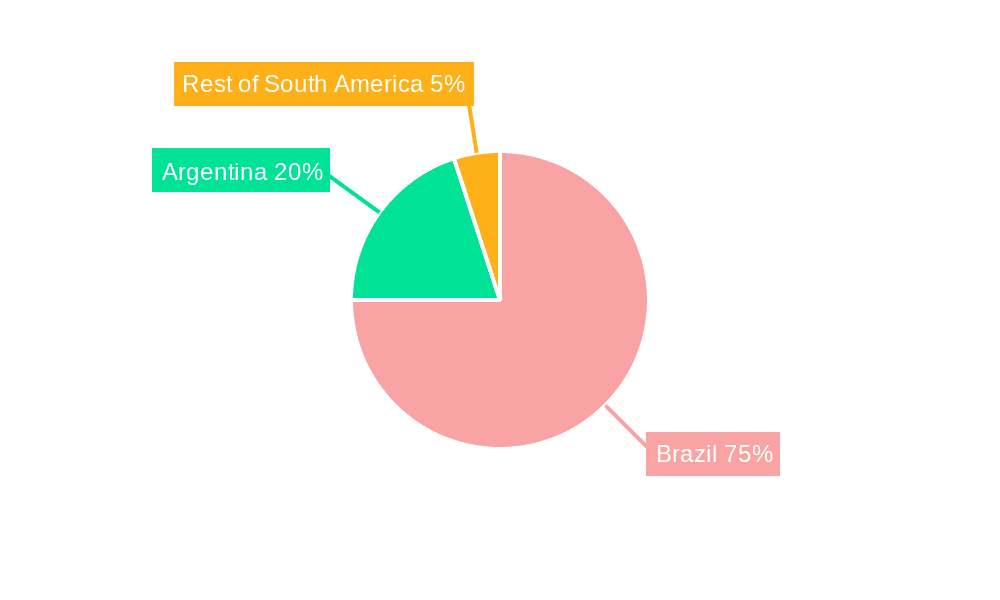 Brazil Maize Market Market Share by Region - Global Geographic Distribution