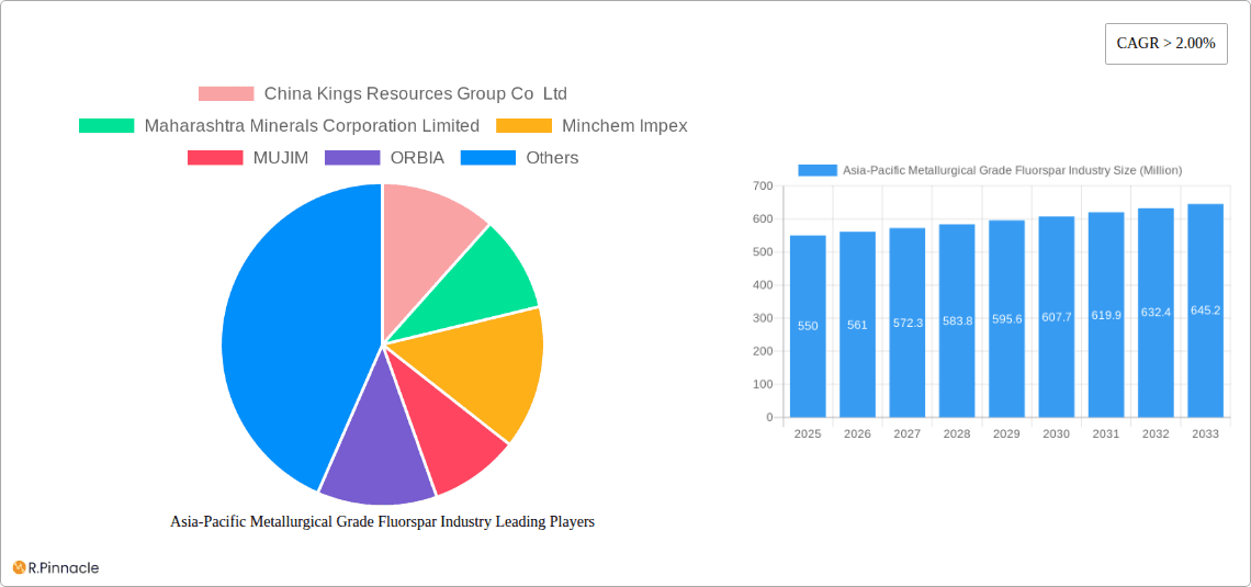 Asia-Pacific Metallurgical Grade Fluorspar Industry Research Report - Market Overview and Key Insights