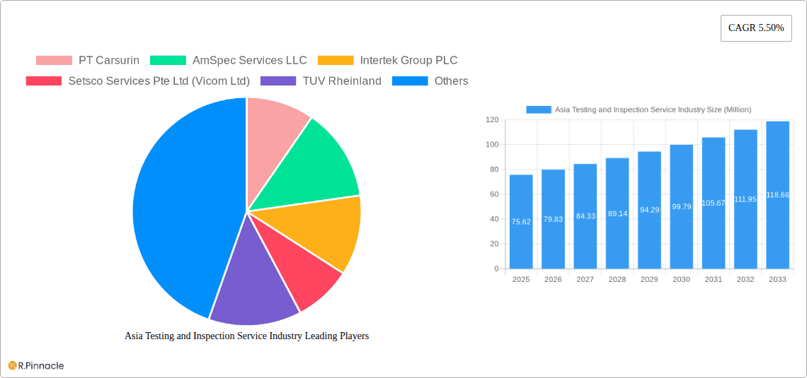 Asia Testing and Inspection Service Industry Research Report - Market Overview and Key Insights