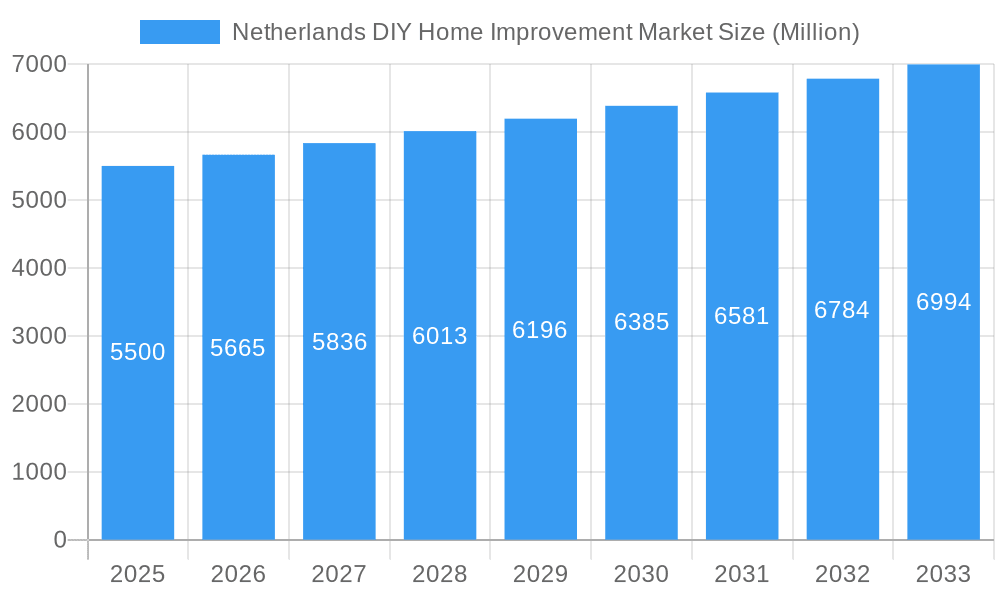 Netherlands DIY Home Improvement Market Market Size and Forecast (2024-2030)