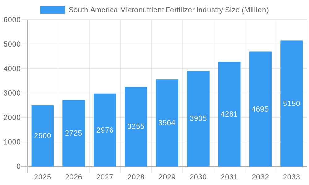 South America Micronutrient Fertilizer Industry Market Size and Forecast (2024-2030)