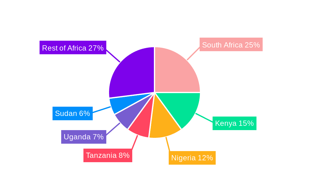 Africa Entertainment And Telecommunication Market Market Share by Region - Global Geographic Distribution