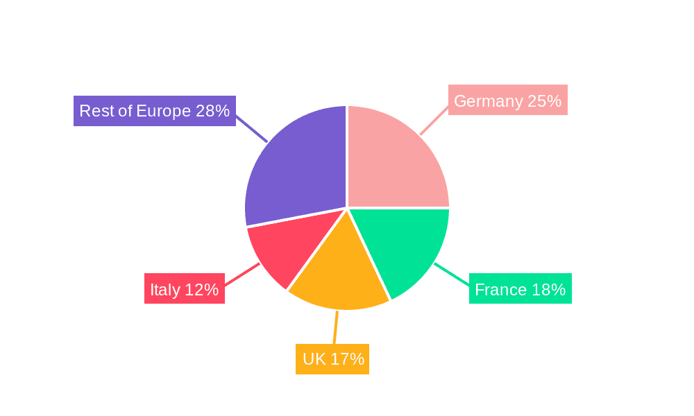 Airport Baggage Handling Systems Market in Europe Market Share by Region - Global Geographic Distribution