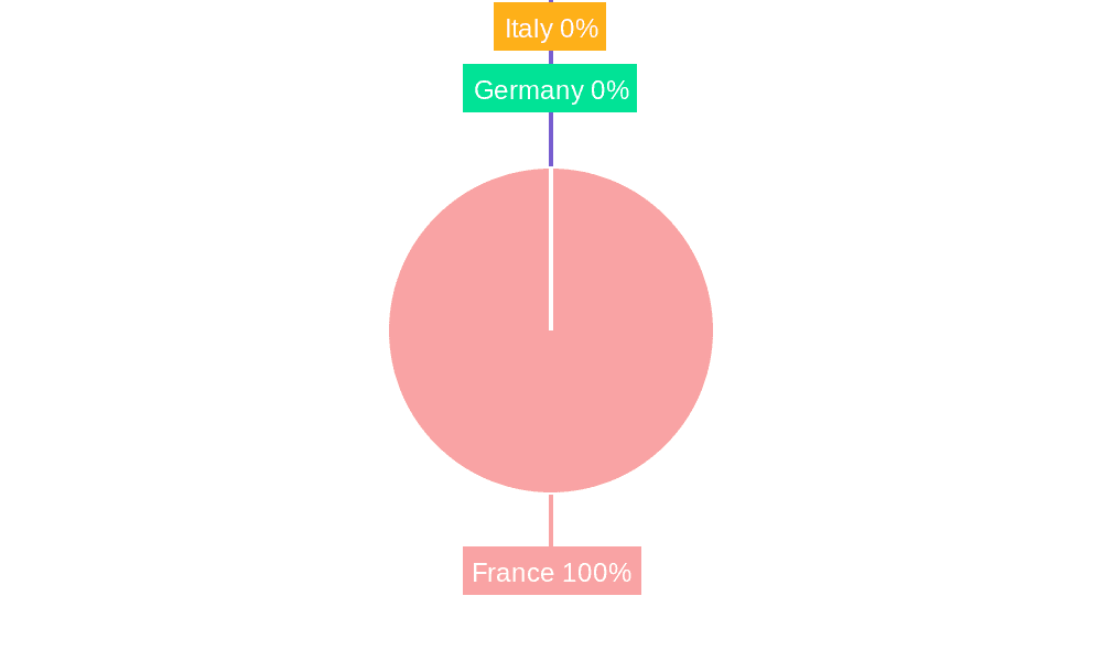 France Automotive Thermoplastic Polymer Composites Market Market Share by Region - Global Geographic Distribution