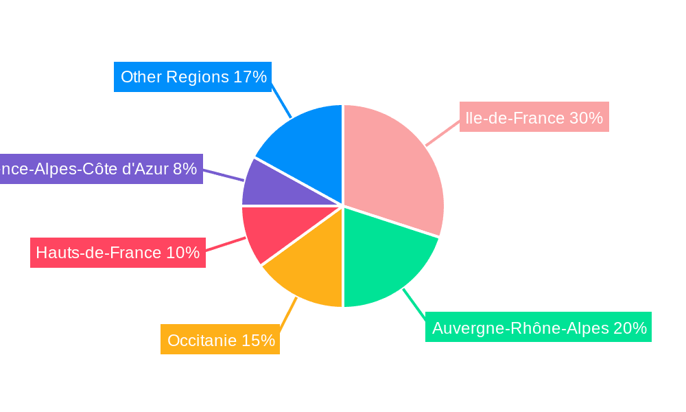 France Electric Vehicle Battery Anode Market Market Share by Region - Global Geographic Distribution