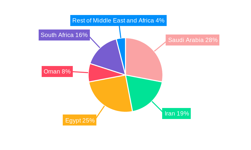 Middle East And Africa Diabetes Care Devices Market Market Share by Region - Global Geographic Distribution