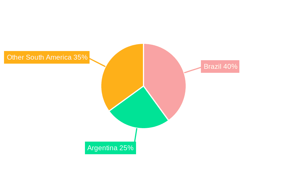 South America Crop Protection Chemicals Market Market Share by Region - Global Geographic Distribution
