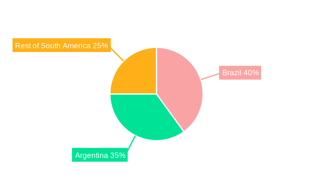 South America Nuclear Reactor Construction Market Market Share by Region - Global Geographic Distribution