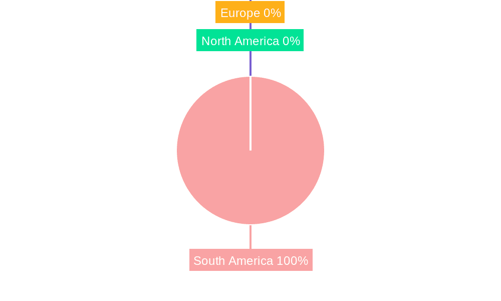 South America Ovarian Cancer Diagnostics and Therapeutics Market Market Share by Region - Global Geographic Distribution