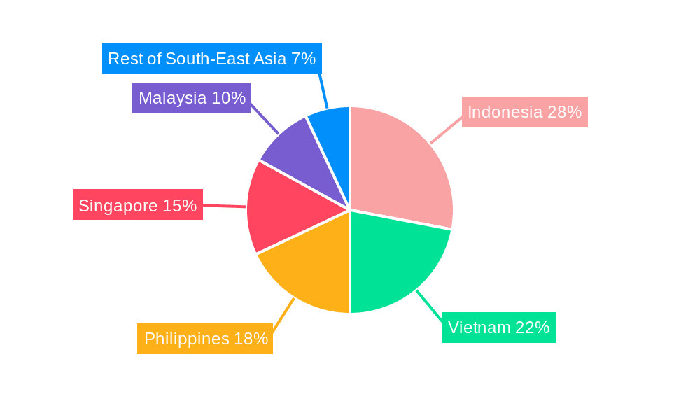 South-East Asia Aviation Infrastructure Market Market Share by Region - Global Geographic Distribution