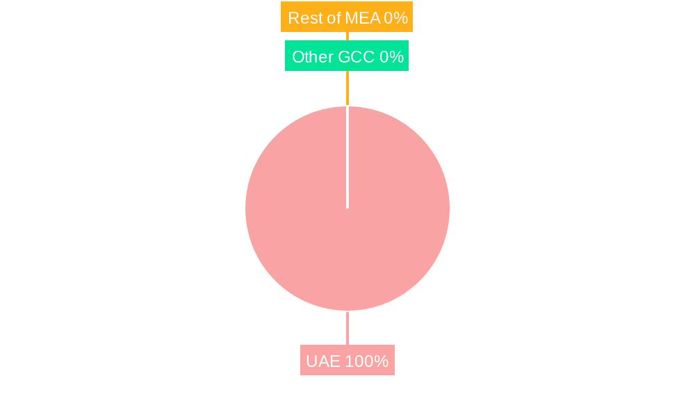 United Arab Emirates Mobile Payments Market Market Share by Region - Global Geographic Distribution